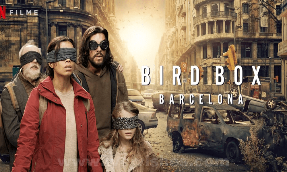 bird-box-barcelona
